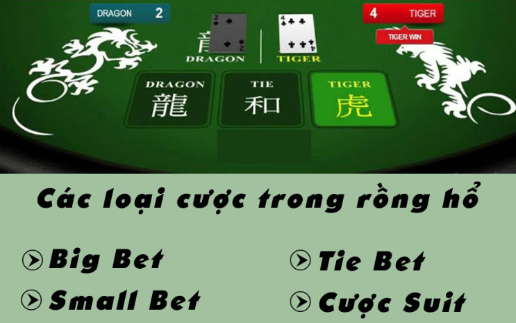 Các loại cược trong game Rồng Hổ